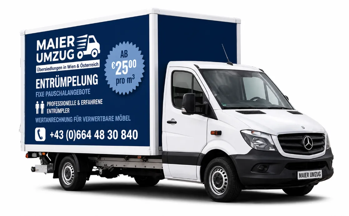 Maier Umzug LKW und Team